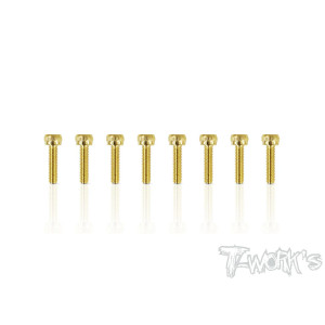 Vis Acier Traitées GOLD CHC 2.5x10mm (8) - T-WORKS - GSS-2510H