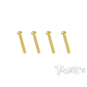 Vis Acier Traitées GOLD BHC 2.5x18mm (4) - T-WORKS - GSS-2518B