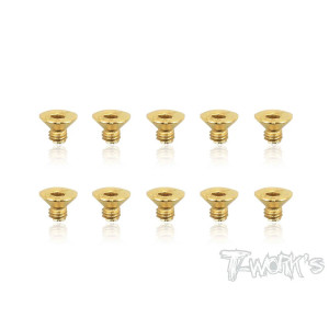 Vis Acier Traitées GOLD FHC 3x4mm (10) - T-WORKS - GSS-304C