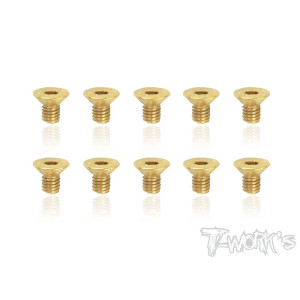 Vis Acier Traitées GOLD FHC  3x5mm (10) - T-WORKS - GSS-305C