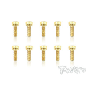 Vis Acier Traitées GOLD CHC 3x8mm (10) - T-WORKS - GSS-308H