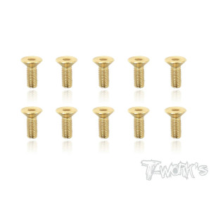 Vis Acier Traitées GOLD FHC 3x8mm (10) - T-WORKS - GSS-308C