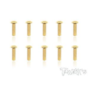 Vis Acier Traitées GOLD BHC 3x10mm (10) - T-WORKS - GSS-310B