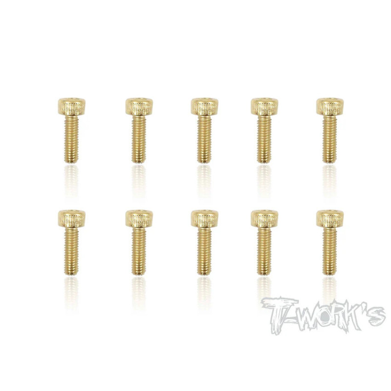 Vis Acier Traitées GOLD CHC 3x10mm (10) - T-WORKS - GSS-310H