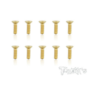 Vis Acier Traitées GOLD FHC 3x10mm (10) - T-WORKS - GSS-310C