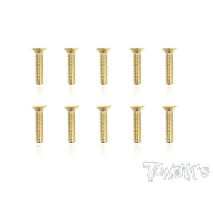 Vis Acier Traitées GOLD FHC 3x14mm (10) - T-WORKS - GSS-314C