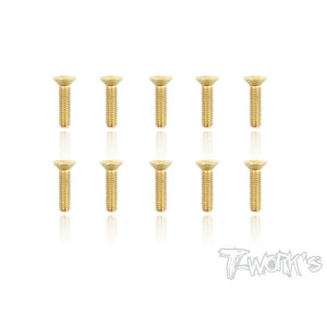 Vis Acier Traitées GOLD FHC 3x12mm (10) - T-WORKS - GSS-312C