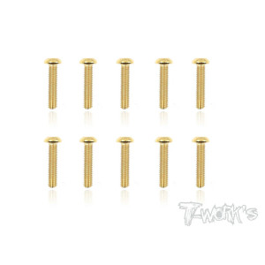 Vis Acier Traitées GOLD BHC 3x14mm (10) - T-WORKS - GSS-314B