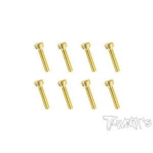 Vis Acier Traitées GOLD CHC 3x14mm (10) - T-WORKS - GSS-314H