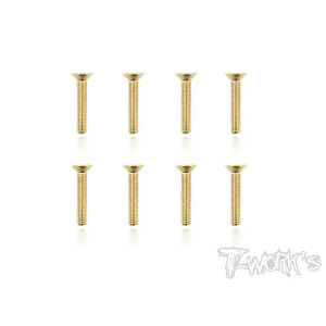 Vis Acier Traitées GOLD FHC 3x16mm (8) - T-WORKS - GSS-316C