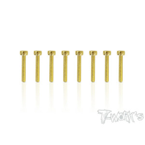 Vis Acier Traitées GOLD CHC  3x18mm (8) - T-WORKS - GSS-318H