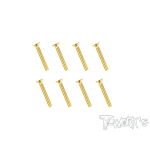 Vis Acier Traitées GOLD FHC 3x20mm (8) - T-WORKS - GSS-320C