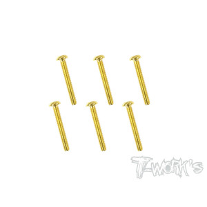 Vis Acier Traitées GOLD BHC 3x22mm (6) - T-WORKS - GSS-322B