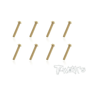 Vis Acier Traitées GOLD Tête UFO 3x20mm (10) - T-WORKS - GSS-320U