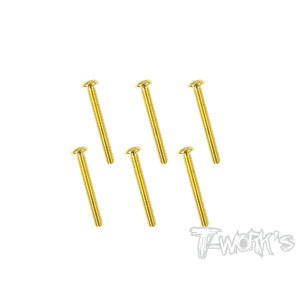 Vis Acier Traitées GOLD BHC 3x24mm (6) - T-WORKS - GSS-324B