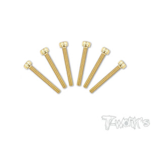 Vis Acier Traitées GOLD CHC 3x22mm (6) - T-WORKS - GSS-322H