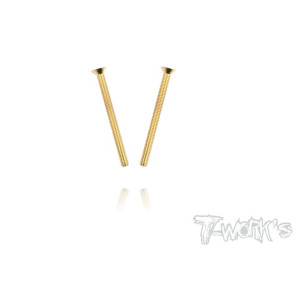 Vis Acier Traitées GOLD FHC 3x40mm (2) - T-WORKS - GSS-340C