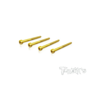 Vis Acier GOLD CHC 3x35mm Mi-Filetage (4) - T-WORKS - GSS-335HH