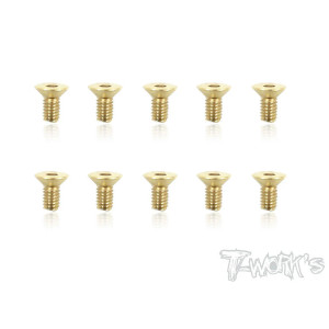 Vis Acier Traitées GOLD FHC 4X6mm (10) - T-WORKS - GSS-406C