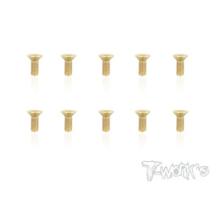 Vis Acier Traitées GOLD FHC 4x10mm (10) - T-WORKS - GSS-410C