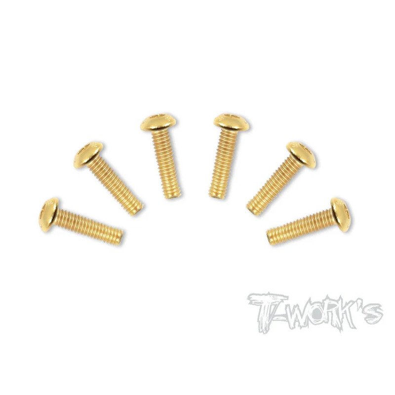 Vis Acier Traitées GOLD BHC 4x16mm (6) - T-WORKS - GSS-416B