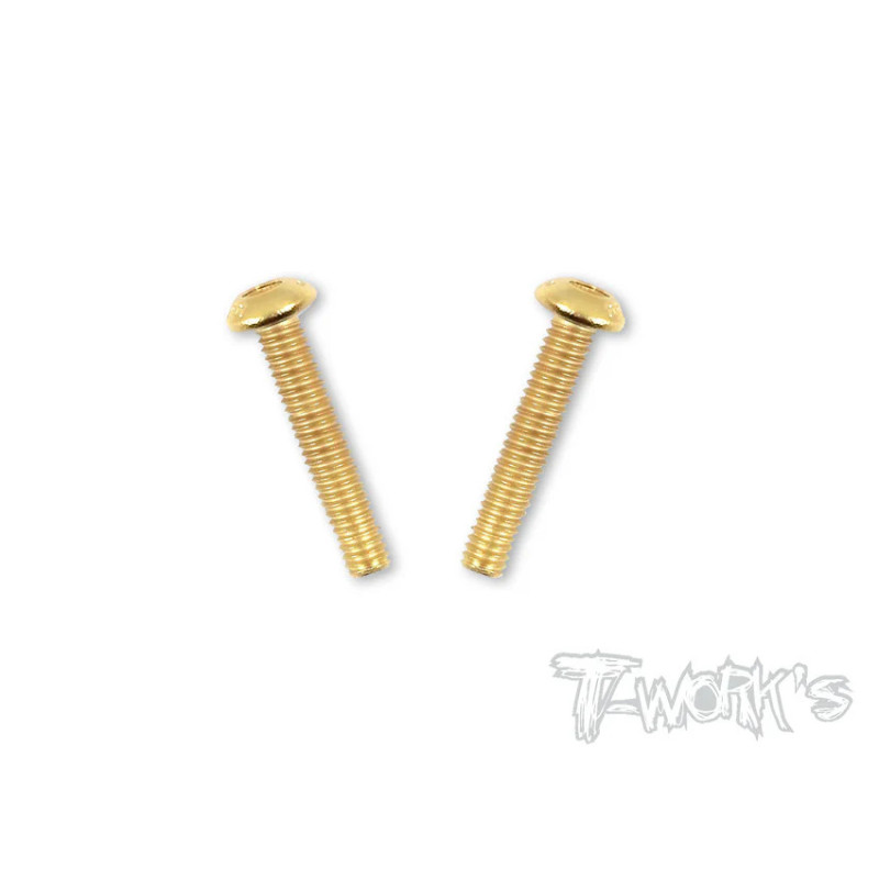 Vis Acier Traitées GOLD BHC 4x22mm (2) - T-WORKS - GSS-422B