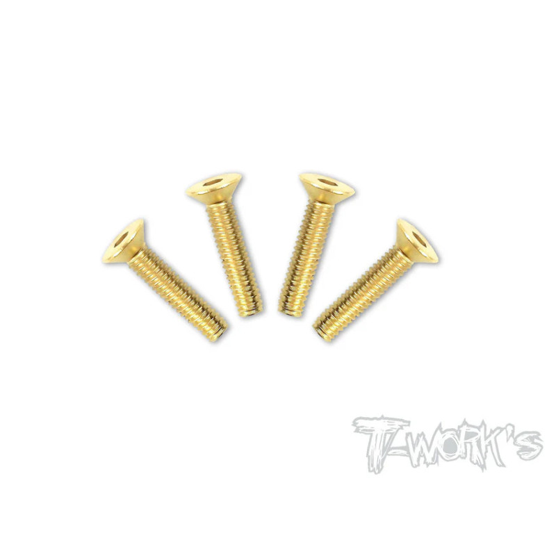 Vis Acier Traitées GOLD FHC 4x20mm (4) - T-WORKS - GSS-420C