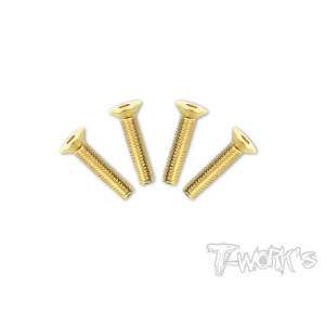 Vis Acier Traitées GOLD FHC 4x20mm (4) - T-WORKS - GSS-420C