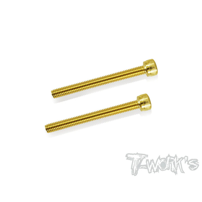 Vis Acier Traitées GOLD CHC 4x40mm (2) - T-WORKS - GSS-440H