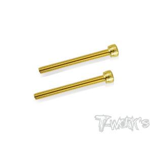 Vis Acier Traitées GOLD CHC 4x40mm (2) - T-WORKS - GSS-440H