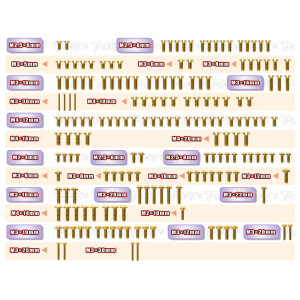 Kit Vis Acier Doré ASSO RC8 B4.1 (178) - T-WORKS - GSS-RC8B4.1