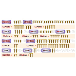 Kit Vis Acier Nitride Doré ASSO B7/B7D (111) - T-WORKS - GSS-RC10B7