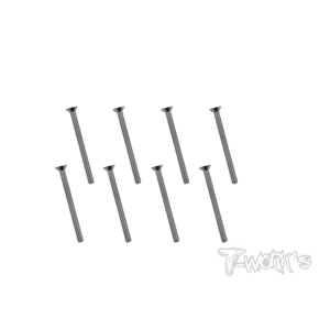 Vis Acier Traitées NICKEL FHC 3x20mm (6) - T-WORKS - NSS-325C