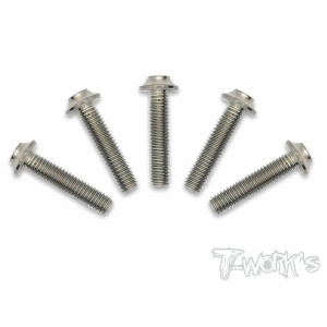 Vis titane 3x14 tête UFO (10) - T-WORKS - TSS-314U-5